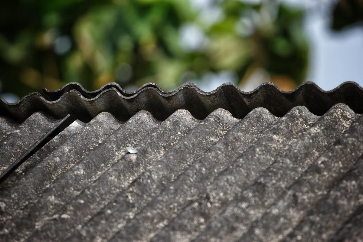 Tejado de uralita deteriorada que necesita encapsular, con fondo verde de árboles